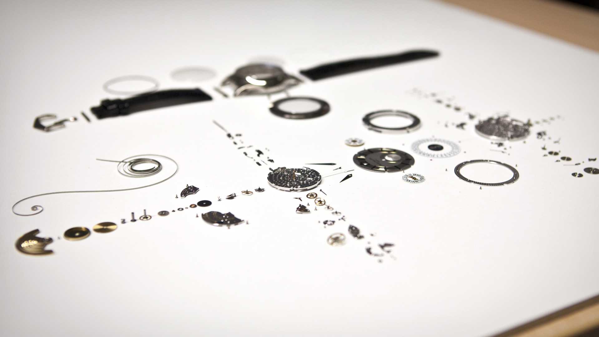 components of a patek philippe watch