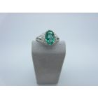 RN0504465/RRSXR9265RG