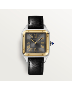 W2SA0029 Santos-Dumont l  Quartz Movement, Gold & Steel Case