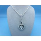 PD1109-HEART
