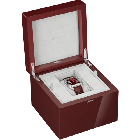 WGSA0102 Santos-Dumont l Large model platinum 950/1000 watch