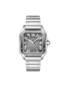 WSSA0037 Santos de Cartier | Large model, automatic movement, steel, ADLC, interchangeable metal and rubber bracelets