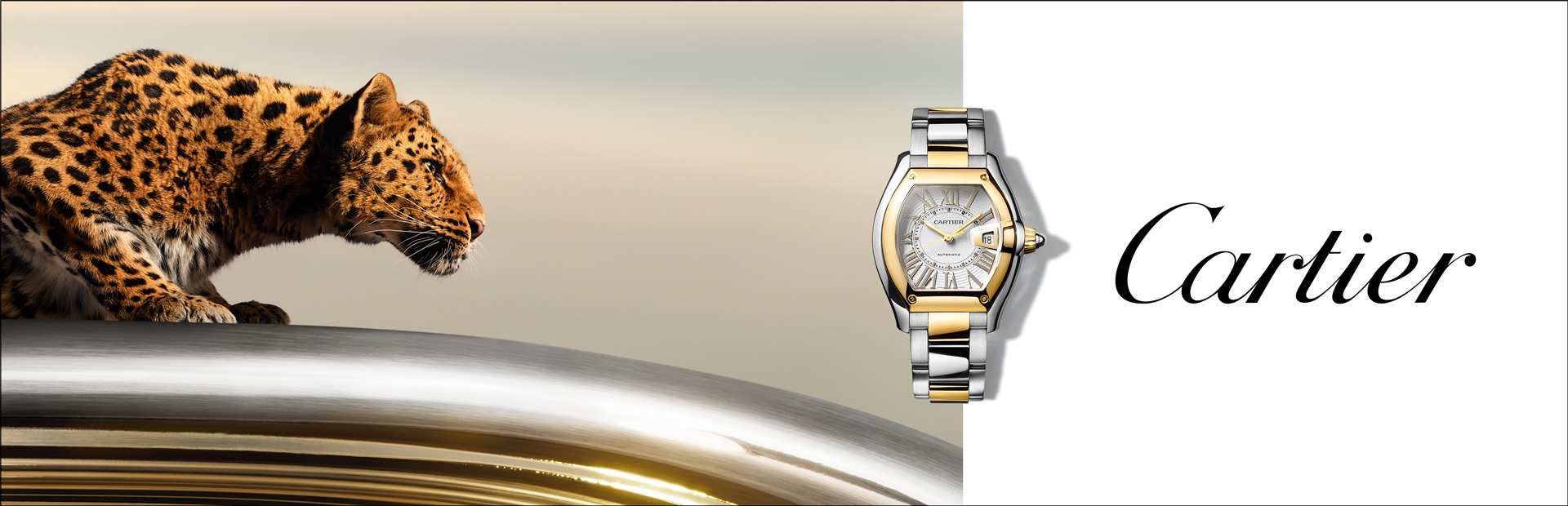 Cartier Roadster Dekstop Banner