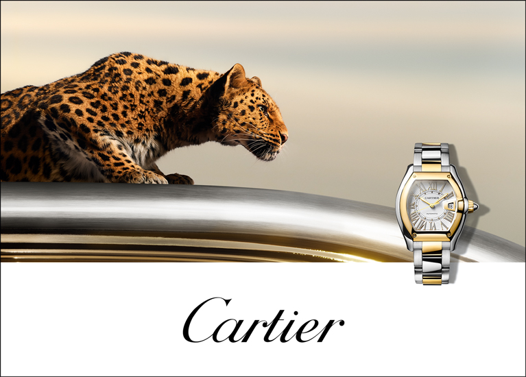 Cartier Roadster Mobile Banner