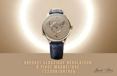 Guide on Breguet Classique Régulateur à Pivot Magnétique 7225BH/0H/9V6